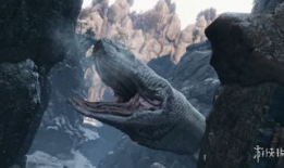 大蛇视频,惊悚探险，揭秘神秘古墓之谜